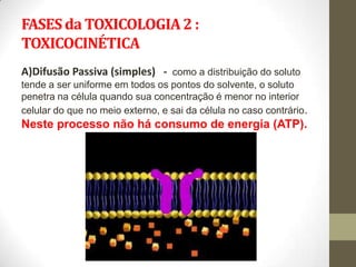 FASES da TOXICOLOGIA 2 :
TOXICOCINÉTICA
A)Difusão Passiva (simples) - como a distribuição do soluto
tende a ser uniforme em todos os pontos do solvente, o soluto
penetra na célula quando sua concentração é menor no interior
celular do que no meio externo, e sai da célula no caso contrário.
Neste processo não há consumo de energia (ATP).
 
