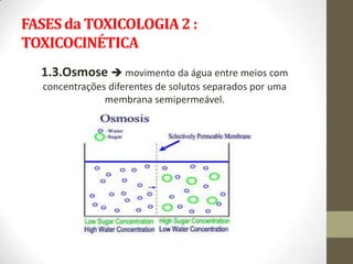FASES da TOXICOLOGIA 2 :
TOXICOCINÉTICA
  1.3.Osmose  movimento da água entre meios com
  concentrações diferentes de solutos separados por uma
               membrana semipermeável.
 