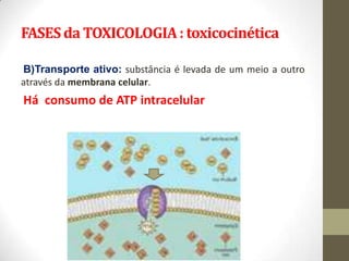 FASES da TOXICOLOGIA : toxicocinética

B)Transporte ativo: substância é levada de um meio a outro
através da membrana celular.
Há consumo de ATP intracelular
 