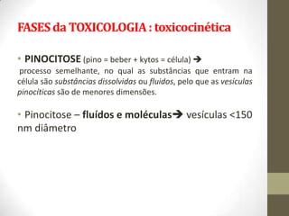 FASES da TOXICOLOGIA : toxicocinética

• PINOCITOSE (pino = beber + kytos = célula) 
 processo semelhante, no qual as substâncias que entram na
célula são substâncias dissolvidas ou fluidos, pelo que as vesículas
pinocíticas são de menores dimensões.

• Pinocitose – fluídos e moléculas vesículas <150
nm diâmetro
 