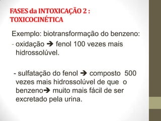 FASES da INTOXICAÇÃO 2 :
TOXICOCINÉTICA
Exemplo: biotransformação do benzeno:
- oxidação  fenol 100 vezes mais
  hidrossolúvel.

 - sulfatação do fenol  composto 500
  vezes mais hidrossolúvel de que o
  benzeno muito mais fácil de ser
  excretado pela urina.
 