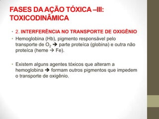 FASES DA AÇÃO TÓXICA –III:
TOXICODINÂMICA
• 2. INTERFERÊNCIA NO TRANSPORTE DE OXIGÊNIO
• Hemoglobina (Hb), pigmento responsável pelo
  transporte de O2  parte proteíca (globina) e outra não
  proteíca (heme  Fe).

• Existem alguns agentes tóxicos que alteram a
  hemoglobina  formam outros pigmentos que impedem
  o transporte de oxigênio.
 