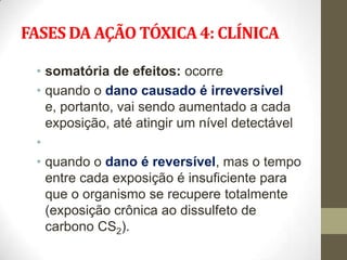 FASES DA AÇÃO TÓXICA 4: CLÍNICA

 • somatória de efeitos: ocorre
 • quando o dano causado é irreversível
   e, portanto, vai sendo aumentado a cada
   exposição, até atingir um nível detectável
 •
 • quando o dano é reversível, mas o tempo
   entre cada exposição é insuficiente para
   que o organismo se recupere totalmente
   (exposição crônica ao dissulfeto de
   carbono CS2).
 