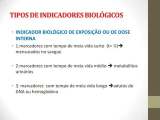 TIPOS DE INDICADORES BIOLÓGICOS

• INDICADOR BIOLÓGICO DE EXPOSIÇÃO OU DE DOSE
  INTERNA
• 1.marcadores com tempo de meia vida curto (t= ½)
  mensurados no sangue

• 2.marcadores com tempo de meia vida médio  metabólitos
  urinários

• 3. marcadores com tempo de meia vida longo adutos de
  DNA ou hemoglobina
 