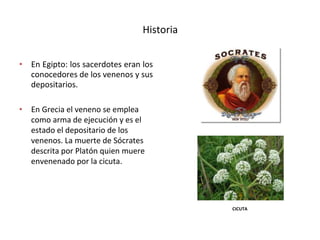 Historia
• En Egipto: los sacerdotes eran los
conocedores de los venenos y sus
depositarios.
• En Grecia el veneno se emplea
como arma de ejecución y es el
estado el depositario de los
venenos. La muerte de Sócrates
descrita por Platón quien muere
envenenado por la cicuta.
CICUTA
 