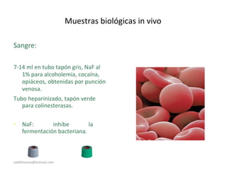 Muestras biológicas in vivo
Sangre:
7-14 ml en tubo tapón gris, NaF al
1% para alcoholemia, cocaína,
opiáceos, obtenidas por punción
venosa.
Tubo heparinizado, tapón verde
para colinesterasas.
• NaF: inhibe la
fermentación bacteriana.
sadithlorena@hotmail.com
 
