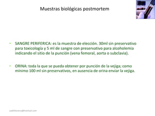 Muestras biológicas postmortem
• SANGRE PERIFERICA: es la muestra de elección. 30ml sin preservativo
para toxicología y 5 ml de sangre con preservativo para alcoholemia
indicando el sitio de la punción (vena femoral, aorta o subclavia).
• ORINA: toda la que se pueda obtener por punción de la vejiga; como
mínimo 100 ml sin preservativos, en ausencia de orina enviar la vejiga.
sadithlorena@hotmail.com
 