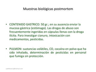 Muestras biológicas postmortem
• CONTENIDO GASTRICO: 50 gr.; en su ausencia enviar la
mucosa gástrica (estómago). Las drogas de abuso son
frecuentemente ingeridas en cápsulas llenas con la droga
ilícita. Para investigar cianuro, intoxicación con
medicamentos, pesticidas.
• PULMON: sustancias volátiles, CO, cocaína en polvo que ha
sido inhalado, determinación de pesticidas en personal
que fumiga sin protección.
sadithlorena@hotmail.com
 