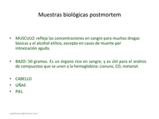 Muestras biológicas postmortem
• MUSCULO: refleja las concentraciones en sangre para muchas drogas
básicas y el alcohol etílico, excepto en casos de muerte por
intoxicación aguda.
• BAZO: 50 gramos. Es un órgano rico en sangre, y es útil para el análisis
de compuestos que se unen a la hemoglobina: cianuro, CO, metanol.
• CABELLO
• UÑAS
• PIEL
sadithlorena@hotmail.com
 