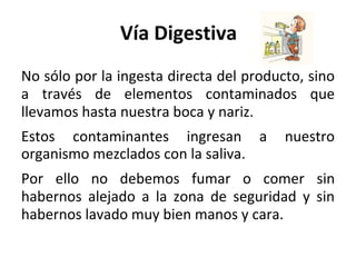 Vía Digestiva
No sólo por la ingesta directa del producto, sino
a través de elementos contaminados que
llevamos hasta nuestra boca y nariz.
Estos contaminantes ingresan a nuestro
organismo mezclados con la saliva.
Por ello no debemos fumar o comer sin
habernos alejado a la zona de seguridad y sin
habernos lavado muy bien manos y cara.
 