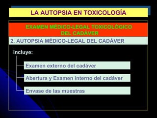 LA AUTOPSIA EN TOXICOLOGÍALA AUTOPSIA EN TOXICOLOGÍA
EXAMEN MÉDICO-LEGAL TOXICOLÓGICO
DEL CADÁVER
Incluye:
2. AUTOPSIA MÉDICO-LEGAL DEL CADÁVER
Abertura y Examen interno del cadáver
Examen externo del cadáver
Envase de las muestras
 