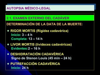 AUTOPSIA MÉDICO-LEGALAUTOPSIA MÉDICO-LEGAL
2.1. EXAMEN EXTERNO DEL CADÁVER
DETERMINACIÓN DE LA DATA DE LA MUERTE:
RIGOR MORTIS (Rigidez cadavérica)
Inicio: 3 – 4 h
Completa: 13 – 14 h
LIVOR MORTIS (livideces cadavéricas)
Evidentes:2 – 16 h
DESHIDRATACIÓN CADAVÉRICA
Signo de Stenon Louis (45 min – 24 h)
PUTREFACCIÓN CADAVÉRICA
Inicio: 24 h
 