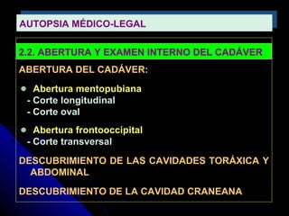 AUTOPSIA MÉDICO-LEGALAUTOPSIA MÉDICO-LEGAL
2.2. ABERTURA Y EXAMEN INTERNO DEL CADÁVER
ABERTURA DEL CADÁVER:
Abertura mentopubiana
- Corte longitudinal
- Corte oval
Abertura frontooccipital
- Corte transversal
DESCUBRIMIENTO DE LAS CAVIDADES TORÁXICA Y
ABDOMINAL
DESCUBRIMIENTO DE LA CAVIDAD CRANEANA
 