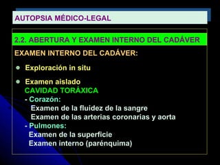 AUTOPSIA MÉDICO-LEGALAUTOPSIA MÉDICO-LEGAL
2.2. ABERTURA Y EXAMEN INTERNO DEL CADÁVER
EXAMEN INTERNO DEL CADÁVER:
Exploración in situ
Examen aislado
CAVIDAD TORÁXICA
- Corazón:
Examen de la fluidez de la sangre
Examen de las arterias coronarias y aorta
- Pulmones:
Examen de la superficie
Examen interno (parénquima)
 