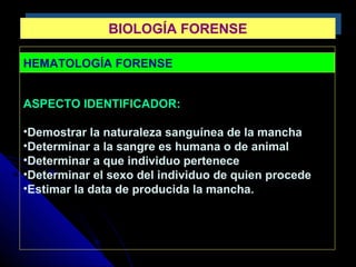 HEMATOLOGÍA FORENSE
ASPECTO IDENTIFICADOR:
•Demostrar la naturaleza sanguínea de la mancha
•Determinar a la sangre es humana o de animal
•Determinar a que individuo pertenece
•Determinar el sexo del individuo de quien procede
•Estimar la data de producida la mancha.
BIOLOGÍA FORENSEBIOLOGÍA FORENSE
 