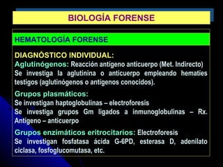 HEMATOLOGÍA FORENSE
DIAGNÓSTICO INDIVIDUAL:
Aglutinógenos: Reacción antígeno anticuerpo (Met. Indirecto)
Se investiga la aglutinina o anticuerpo empleando hematíes
testigos (aglutinógenos o antígenos conocidos).
Grupos plasmáticos:
Se investigan haptoglobulinas – electroforesis
Se investiga grupos Gm ligados a inmunoglobulinas – Rx.
Antigeno – anticuerpo
Grupos enzimáticos eritrocitarios: Electroforesis
Se investigan fosfatasa ácida G-6PD, esterasa D, adenilato
ciclasa, fosfoglucomutasa, etc.
BIOLOGÍA FORENSEBIOLOGÍA FORENSE
 