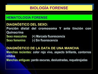 HEMATOLOGÍA FORENSE
DIAGNÓSTICO DEL SEXO:
Porción distal del cromosoma Y ante tinción con
Quinacrina
Sexo masculino (+) Marcada fluorescencia
Sexo femenino (-) Sin fluorescencia
DIAGNÓSTICO DE LA DATA DE UNA MANCHA
Manchas recientes: color rojo vivo, aspecto brillante, contornos
nítidos
Manchas antiguas: pardo oscuras, deslustradas, requebrajadas
BIOLOGÍA FORENSEBIOLOGÍA FORENSE
 