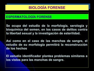 ESPERMATOLOGÍA FORENSE
Se ocupa del estudio de la morfología, serología y
bioquímica del semen, en los casos de delitos contra
la libertad sexual y la investigación de esterilidad.
Así como en el caso de las manchas de sangre, el
estudio de su morfología permitirá la reconstrucción
de los hechos
El estudio identificador plantea problemas similares a
los vistos para las manchas de sangre.
BIOLOGÍA FORENSEBIOLOGÍA FORENSE
 