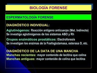 ESPERMATOLOGÍA FORENSE
DIAGNÓSTICO INDIVIDUAL:
Aglutinógenos: Reacción antígeno anticuerpo (Met. Indirecto)
Se investiga aglutinógenos de los sistemas ABO y Rh
Grupos enzimáticos prostáticos: Electroforesis
Se investigan los enzimas de la Fosfoglutamasa, esterasa D, etc.
DIAGNÓSTICO DE LA DATA DE UNA MANCHA
Manchas recientes: mayor contenido de lecitina que colina
Manchas antiguas: mayor contenido de colina que lecitina
BIOLOGÍA FORENSEBIOLOGÍA FORENSE
 