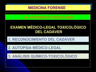 MEDICINA FORENSEMEDICINA FORENSE
LA AUTOPSIA EN TOXICOLOGÍA
EXAMEN MÉDICO-LEGAL TOXICOLÓGICO
DEL CADÁVER
1. RECONOCIMIENTO DEL CADÁVER
2. AUTOPSIA MÉDICO-LEGAL
3. ANÁLISIS QUÍMICO-TOXICOLÓGICO
 