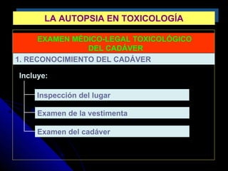 LA AUTOPSIA EN TOXICOLOGÍALA AUTOPSIA EN TOXICOLOGÍA
EXAMEN MÉDICO-LEGAL TOXICOLÓGICO
DEL CADÁVER
Incluye:
1. RECONOCIMIENTO DEL CADÁVER
Examen de la vestimenta
Inspección del lugar
Examen del cadáver
 