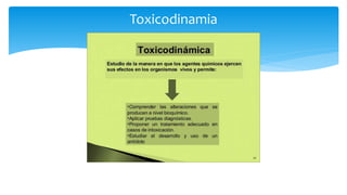 Toxicodinamia