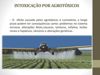 INTOXICAÇÃO PORAGROTÓXICOS
• O efeito causado pelos agrotóxicos é cumulativo, a longo
prazo podem ter consequências como: problemas no sistema
nervoso, alterações fetais,náuseas, tonturas, cefaleia, lesões
renais e hepáticas, cânceres e alterações genéticas.
 