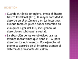  Cuando el tóxico se ingiere, entra al Tracto
Gastro Intestinal (TGI), la mayor cantidad se
absorbe en el estómago y en los intestinos
aunque también puede haber absorción en
cualquier lugar del TGI, incluyendo las
absorciones sublingual y rectal.
 La absorción de los xenobióticos usa los
mismos mecanismos que tiene el TGI para
absorber los nutrimentos. Por ejemplo, el
plomo se absorbe en el intestino usando el
sistema de transporte del calcio
 