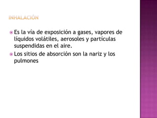  Es la vía de exposición a gases, vapores de
líquidos volátiles, aerosoles y partículas
suspendidas en el aire.
 Los sitios de absorción son la nariz y los
pulmones
 
