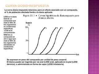 La curva dosis-respuesta relaciona, para un efecto asociado con un compuesto,
el % de población afectada frente a la dosis aplicada
LD50 es la dosis
letal de un
compuesto que
mata al 50% de
los organismos
en condiciones
específicas.
LC50 es la
concentración
letal de un
compuesto en
aire o agua que
mata al 50% de
los organismos
estudiados en
condiciones
específicas.
Se expresan en peso del compuesto por unidad de peso corporal.
El tóxico puede ser ingerido por vía oral (LD50 oral), aplicado en la piel (LD50
dermica), o administrado en forma de vapor (LD50 inhalatoria).
 