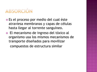  Es el proceso por medio del cual éste
atraviesa membranas y capas de células
hasta llegar al torrente sanguíneo.
 El mecanismo de ingreso del tóxico al
organismo usa los mismos mecanismos de
transporte diseñados para movilizar
compuestos de estructura similar
 