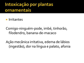 

Irritantes

Comigo-ninguém-pode, imbé, tinhorão,
filodendro, banana-de-macaco
Ação mecânica irritativa, edema de lábios
(ingestão), dor na língua e palato, afonia

 