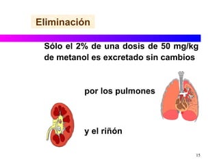 Sólo el 2% de una dosis de 50 mg/kg de metanol es excretado sin cambios  por los pulmones y el riñón Eliminación 