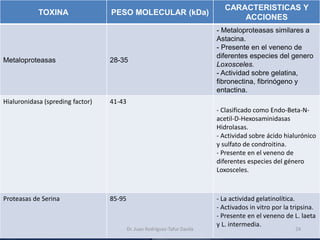 Toxicologia del veneno de Arañas y escorpiones | PDF