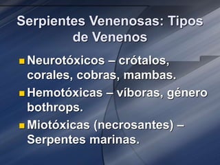 Serpientes Venenosas: Tipos
de Venenos
 Neurotóxicos – crótalos,
corales, cobras, mambas.
 Hemotóxicas – víboras, género
bothrops.
 Miotóxicas (necrosantes) –
Serpentes marinas.
 