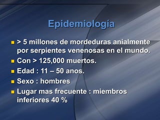 Epidemiología
 > 5 millones de mordeduras anialmente
por serpientes venenosas en el mundo.
 Con > 125,000 muertos.
 Edad : 11 – 50 anos.
 Sexo : hombres
 Lugar mas frecuente : miembros
inferiores 40 %
 