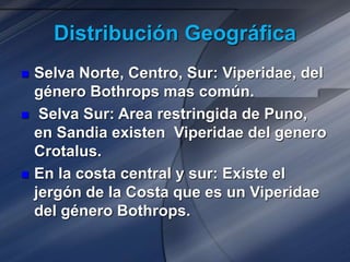 Distribución Geográfica
 Selva Norte, Centro, Sur: Viperidae, del
género Bothrops mas común.
 Selva Sur: Area restringida de Puno,
en Sandia existen Viperidae del genero
Crotalus.
 En la costa central y sur: Existe el
jergón de la Costa que es un Viperidae
del género Bothrops.
 