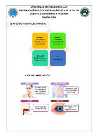 UNIVERSIDAD TÉCNICA DE MACHALA
UNIDAD ACADÉMICA DE CIENCIAS QUÍMICAS Y DE LA SALUD
CARRERA DE BIOQUÍMICA Y FARMACIA
TOXICOLOGÍA
DE ACUERDO A SU NIVEL DE TOXICIDAD
Grupo I
Altamente
tóxicos para el
ser humano
Grupo II
Altamente
tóxicos para el
ser humano
Grupo III
Medianamente
tóxicos Grupo
IV
Poco tóxicos
 