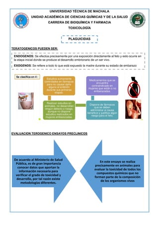 UNIVERSIDAD TÉCNICA DE MACHALA
UNIDAD ACADÉMICA DE CIENCIAS QUÍMICAS Y DE LA SALUD
CARRERA DE BIOQUÍMICA Y FARMACIA
TOXICOLOGÍA
TERATOGENICOS PUEDEN SER:
EVALUACION TEROGENICO ENSAYOS PRECLINICOS
PLAGUICIDAS
ENDOGENOS: Se efectúa precisamente por una exposición directamente al feto y esto ocurre en
la etapa inicial donde se produce el desarrollo embrionario de un ser vivo.
EXOGENOS: Se refiere a todo lo que está expuesto la madre durante su estado de embarazo
De acuerdo al Ministerio de Salud
Pública, es de gran importancia
conocer datos que aportan la
información necesaria para
verificar el grado de toxicidad y
desarrollo, por tal razón existe
metodologías diferentes.
En este ensayo se realiza
precisamente en animales para
evaluar la toxicidad de todos los
compuestos químicos que no
forman parte de la composición
de los organismos vivos
 