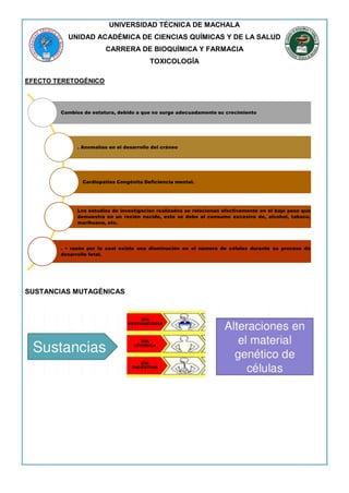 UNIVERSIDAD TÉCNICA DE MACHALA
UNIDAD ACADÉMICA DE CIENCIAS QUÍMICAS Y DE LA SALUD
CARRERA DE BIOQUÍMICA Y FARMACIA
TOXICOLOGÍA
EFECTO TERETOGÈNICO
SUSTANCIAS MUTAGÉNICAS
Cambios de estatura, debido a que no surge adecuadamente su crecimiento
. Anomalías en el desarrollo del cráneo
Cardiopatías Congénita Deficiencia mental.
Los estudios de investigación realizados se relacionan efectivamente en el bajo peso que
demuestra en un recién nacido, esto se debe al consumo excesivo de, alcohol, tabaco,
marihuana, etc.
. • razón por la cual existe una disminución en el número de células durante su proceso de
desarrollo fetal.
 