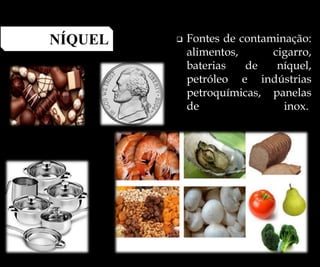  Fontes de contaminação:
alimentos, cigarro,
baterias de níquel,
petróleo e indústrias
petroquímicas, panelas
de inox.
NÍQUEL
 