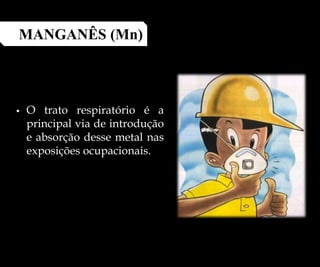  O trato respiratório é a
principal via de introdução
e absorção desse metal nas
exposições ocupacionais.
MANGANÊS (Mn)
 