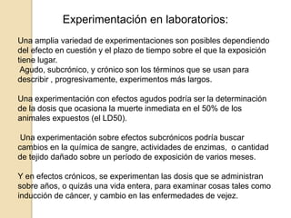 Experimentación en laboratorios:
Una amplia variedad de experimentaciones son posibles dependiendo
del efecto en cuestión y el plazo de tiempo sobre el que la exposición
tiene lugar.
Agudo, subcrónico, y crónico son los términos que se usan para
describir , progresivamente, experimentos más largos.
Una experimentación con efectos agudos podría ser la determinación
de la dosis que ocasiona la muerte inmediata en el 50% de los
animales expuestos (el LD50).
Una experimentación sobre efectos subcrónicos podría buscar
cambios en la química de sangre, actividades de enzimas, o cantidad
de tejido dañado sobre un período de exposición de varios meses.
Y en efectos crónicos, se experimentan las dosis que se administran
sobre años, o quizás una vida entera, para examinar cosas tales como
inducción de cáncer, y cambio en las enfermedades de vejez.
 