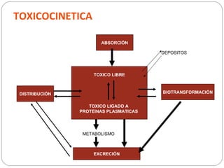 TOXICOCINETICA

                       ABSORCIÓN

                                        DEPOSITOS




                     TOXICO LIBRE



 DISTRIBUCIÓN                           BIOTRANSFORMACIÓN


                   TOXICO LIGADO A
                PROTEINAS PLASMATICAS




                 METABOLISMO



                     EXCRECIÓN
 