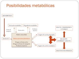 Posibilidades metabólicas

XENOBIOTICO




          Activación metabólica      Degradación metabólica
                                                                                                EFECTO TERAPEUTICO
     Forma de                                      Productos                                         O TOXICO
                          Forma activa              inactivos
     transporte

                       Fluido extracelular                      Lugares de acción principales

ABSORCIÓN         Unión a proteínas plasmáticas                                                      RELACIÓN
                                                                                                 ESTIMULO- EFECTO
                     Drogas en forma activa
                  Drogas en forma de transporte
                      Productos inactivos                       Lugares de acción secundarios


                                                                                                EFECTOS COLATERALES
 