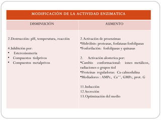 MODIFICACIÓN DE LA ACTIVIDAD ENZIMATICA

              DISMINUCIÓN                                    AUMENTO


2.Destrucción: pH, temperatura, reacción   2.Activación de proenzimas
                                           •Hidrólisis: proteasas, fosfatasas fosfolipasas
4.Inhibición por:                          •Fosforilación: fosfolipasas y quinasas
• Estereoisomeria
• Compuestos tiolprivos                    2. Activación alosterica por:
• Compuestos metalprivos                   •Cambio conformacional: iones metálicos,
                                           radiaciones o grupos tiol
                                           •Proteínas reguladoras: Ca-calmodulina
                                           •Mediadores : AMPc, Ca++, GMPc, prot. G

                                           11.Inducción
                                           12.Secreción
                                           13.Optimización del medio
 