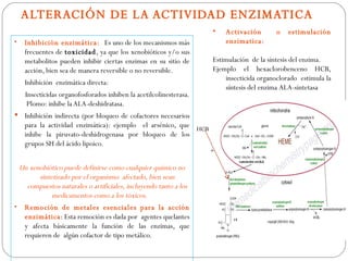 ALTERACIÓN DE LA ACTIVIDAD ENZIMATICA
                                                                    •   Activación        o   estimulación
•   Inhibición enzimática: Es uno de los mecanismos más                 enzimatica:
    frecuentes de toxicidad, ya que los xenobióticos y/o sus
    metabolitos pueden inhibir ciertas enzimas en su sitio de       Estimulación de la síntesis del enzima.
    acción, bien sea de manera reversible o no reversible.          Ejemplo el hexaclorobenceno HCB,
                                                                        insecticida organoclorado estimula la
    Inhibición enzimática directa:
                                                                        síntesis del enzima ALA-sintetasa
    Insecticidas organofosforados inhiben la acetilcolinesterasa.
     Plomo: inhibe la ALA-deshidratasa.
   Inhibición indirecta (por bloqueo de cofactores necesarios
    para la actividad enzimática): ejemplo el arsénico, que HCB
    inhibe la piruvato-deshidrogenasa por bloqueo de los
    grupos SH del ácido lipoico.
                                                                    +

 Un xenobiótico puede definirse como cualquier químico no
       sintetizado por el organismo afectado, bien sean
   compuestos naturales o artificiales, incluyendo tanto a los
            medicamentos como a los tóxicos.
• Remoción de metales esenciales para la acción
  enzimática: Esta remoción es dada por agentes quelantes
  y afecta básicamente la función de las enzimas, que
  requieren de algún cofactor de tipo metálico.
 