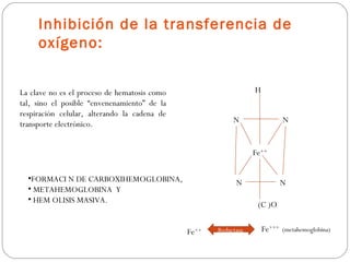 Inhibición de la transferencia de
     oxígeno:


La clave no es el proceso de hematosis como                      H
tal, sino el posible “envenenamiento” de la
respiración celular, alterando la cadena de
transporte electrónico.                                   N                  N


                                                                 Fe++

  •FORMACI N DE CARBOXIHEMOGLOBINA,                        N                 N
  • METAHEMOGLOBINA Y
  • HEM OLISIS MASIVA.
                                                                  (C )O


                                              Fe++   Reductasa       Fe+++   (metahemoglobina)
 