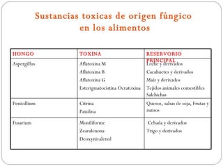 Sustancias toxicas de or igen fúng ico
                        en los alimentos

HONGO                   TOXINA                          RESERVORIO
                                                        PRINCIPAL
Aspergillus             Aflatoxina M                    Leche y derivados
                        Aflatoxina B                    Cacahuetes y derivados
                        Aflatoxina G                    Maíz y derivados
                        Esterigmatocistina Ocratoxina   Tejidos animales comestibles
                                                        Salchichas
Penicillium             Citrina                         Quesos, salsas de soja, Frutas y
                        Patulina                        zumos

Fusarium                Moniliforme                     Cebada y derivados
                        Zearalenona                     Trigo y derivados
                        Deoxynivalenol
 