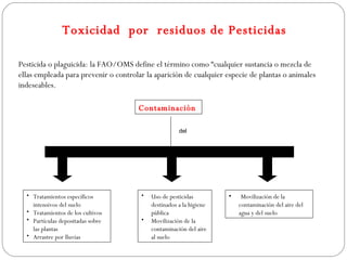 Toxicidad por residuos de Pesticidas

Pesticida o plaguicida: la FAO/OMS define el término como “cualquier sustancia o mezcla de
ellas empleada para prevenir o controlar la aparición de cualquier especie de plantas o animales
indeseables.

                                      Contaminación

                                                      del


          SUELO                              AGUA                           BIOSFERA



  • Tratamientos específicos           •   Uso de pesticidas         •    Movilización de la
    intensivos del suelo                   destinados a la higiene       contaminación del aire del
  • Tratamientos de los cultivos           pública                       agua y del suelo
  • Partículas depositadas sobre       •   Movilización de la
    las plantas                            contaminación del aire
  • Arrastre por lluvias                   al suelo
 